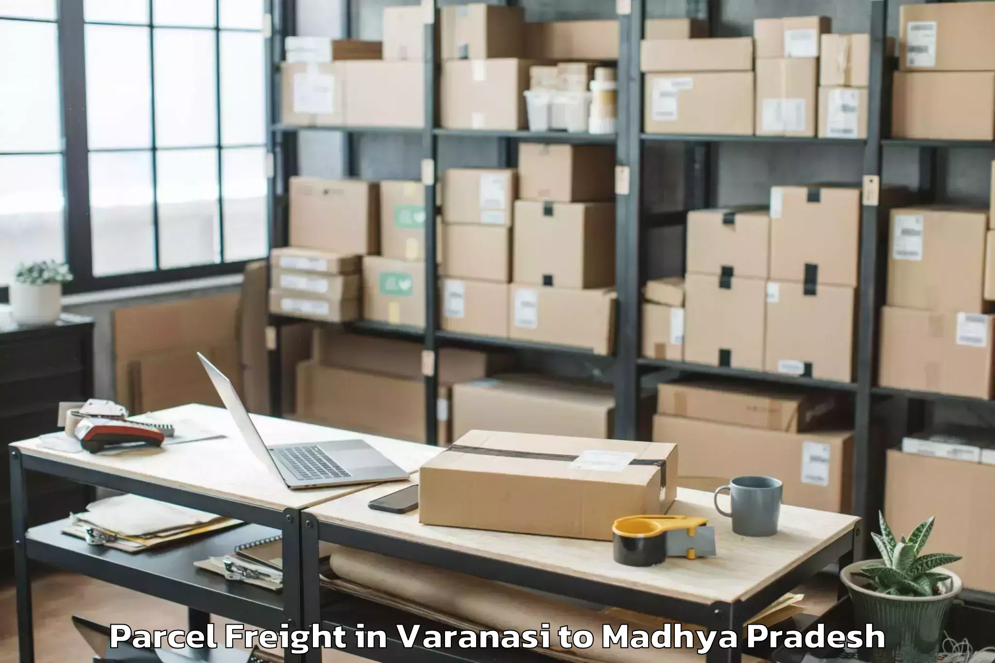 Book Your Varanasi to Mandsaur University Mandsaur Parcel Freight Today